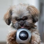 동행파워볼 실시간 분석법 — 동행복권 파워볼게임 사이트 기준 + 동행 파워볼 중계 자료 활용